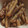 年中ねぼすけ's cooksnap of when they made ごぼうの甘辛炒め☆.