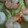 すまいるゆっきー's cooksnap of when they made 簡単！！蒸しなすの海老あんかけ♡.