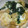 taisho0805's cooksnap of when they made **油揚げとわかめの卵とじ**.