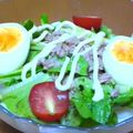 実菜かあちゃん's cooksnap of when they made 絶品☆和風サラダうどん☆.