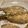 あゆkari's cooksnap of when they made 鰯のガーリックハーブパン粉焼き.