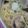 ピンクのたまご's cooksnap of when they made ハマグリとキノコの和風パスタ.