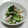 ☆shizu's cooksnap of when they made タコのうまみたっぷり　夏のさっぱりサラダ.