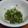ももくりーず's cooksnap of when they made オクラと梅のかつおぶし和え.