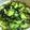 masho00's cooksnap of when they made もずくの酢の物塩麹和え.