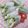 にゃーち。's cooksnap of when they made ヘルシー！蒸し鶏とゴーヤの生春巻！.