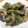 なおっち0922's cooksnap of when they made 茄子と豚肉のトロトロ煮.