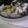kukonyan's cooksnap of when they made かんたん☆さつまいもごはん.