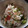 Maraisin's cooksnap of when they made 簡単☆我が家の定番☆混ぜご飯☆.