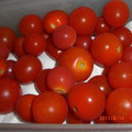 tiapon's cooksnap of when they made ﾐﾆﾄﾏﾄを長持ちさせちゃう♪.