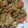 mhmh1031's cooksnap of when they made 豚肉とキャベツのみそマヨ炒め。.