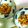 alicepanda's cooksnap of when they made ☆トマトのくるみサラダ☆.