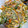クックVIRD3V☆'s cooksnap of when they made うまっ！中華風♪はるさめサラダ.