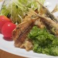 yappyパクパク's cooksnap of when they made ☆アジのフリッター☆きゅうりのソース☆.