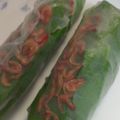 Elly’s's cooksnap of when they made ベジタブル生春巻き.
