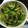 薬味PAD's cooksnap of when they made みょうがと胡瓜の塩ゴマ油和え〜.