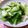 ねっちゃんっ's cooksnap of when they made 簡単★青梗菜のにんにく炒め.