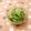 赤い電話's cooksnap of when they made 塩こうじ♡お弁当にきゅうりの漬物.