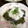 セイコモ１０３'s cooksnap of when they made 我が家の茄子の揚げびたし.