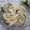 miyuki12's cooksnap of when they made 給食の味★いかスパゲティーサラダ.