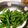 まさむにゃ。's cooksnap of when they made 簡単☆子どもも食べやすいピーマン塩昆布.