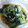 きよっぴん13's cooksnap of when they made きゅうりとわかめの酢の物.