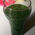 ちえとみう's cooksnap of when they made 酵素たっぷり☆ゴーヤのグリーンスムージー.