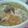 yumipandaa's cooksnap of when they made 豆腐のふわふわだんごスープ.