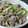 さきぽっぽ's cooksnap of when they made 牛肉とアスパラの粒マスタードマヨ炒め.