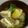 はやあわ's cooksnap of when they made みょうがと豆腐でチゲスープ.