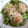 農家大好き's cooksnap of when they made ししとうの甘辛炒め.