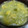 ぼんとろっこ's cooksnap of when they made 白だしであっさりと！冬瓜の吉野汁.