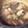 plot's cooksnap of when they made 里芋としいたけの煮物～♪.