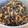 このみん家's cooksnap of when they made 簡単♪✿ひじきと❀胡瓜の✿胡麻サラダ.