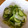 cicamama's cooksnap of when they made とまらない！レタスときゅうりの漬物.