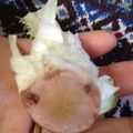 Célia.'s cooksnap of when they made 2度すっきり！レタスの芯の取り方.