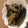 やさしい人's cooksnap of when they made きゅうりの炒め漬物.