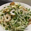 ずぼら伝説's cooksnap of when they made ちくわと貝割れの簡単サラダ♪.