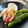 azbjbn's cooksnap of when they made ミョウガときゅうりのぬか漬け.