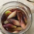 Ruriluru's cooksnap of when they made 茗荷の茎 甘酢漬け　話題のレシピ！.