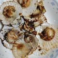 ビビ2525's cooksnap of when they made フライパンで簡単♪殻付きホタテバター.