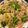ちみ's cooksnap of when they made フライパン1つ！あさりとキャベツのパスタ.
