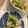 ロン子's cooksnap of when they made 春キャベツとちくわのポン酢和え.