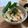 よーこ0222's cooksnap of when they made ☆ねぎ塩山椒ｄｅ豚トロろ丼☆.