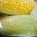ゆうりママ's cooksnap of when they made ★とうもろこしを甘く茹でよう.
