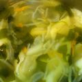 りんママ042's cooksnap of when they made 水餃子のスープ.