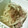 そらいろ猫's cooksnap of when they made きのこいり、もやし豚肉炒め.