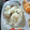 shyokoko's cooksnap of when they made 枝豆と桜エビの春色ごはん✿.