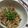 菊枝乃's cooksnap of when they made 長芋としめじのニンニクバター醤油炒め.
