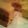 noelhiromi's cooksnap of when they made ノンオイル☆ヨーグルトシフォンCAKE.